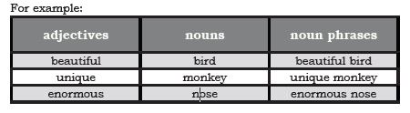 noun phrase