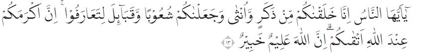 al-Hْujurat ayat 13 dan artinya